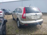 Honda Cr-V Ex 5J6RE48528L809732 снимка