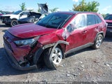 Toyota Rav4 Xle 2T3R1RFV0LC097083 снимка
