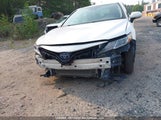 Toyota Camry 4T1C31AK5LU013782 снимка