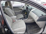 Toyota Corolla S/Le 2T1BU4EE6CC888126 снимка