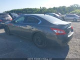 Nissan Maxima S/Sv 1N4AA5AP2BC822767 снимка