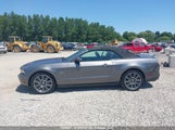 Ford Mustang Gt 1ZVBP8FH0A5103744 снимка