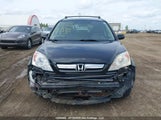 Honda Cr-V 5J6RE487X8L804764 photo