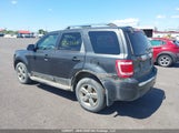 Ford Escape Limited 1FMCU94G89KA24024 снимка