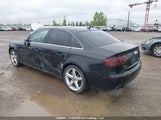 Audi A4 2.0T 30 Years Of Quattro Edition/2.0T Premium WAUFFCFL3BN015087 fotografie