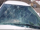 Honda Civic 2HGFB2F43DH032356 снимка