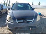 Honda Cr-V Ex JHLRD78912C804951 снимка