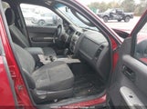 Ford Escape Xlt 1FMCU9DG4BKA40193 fotografie