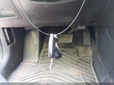Hyundai Elantra Preferred With Sun And Safety Package Auto Ivt KMHD84LF4LU896894 снимка
