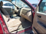 Ford Escape Xlt 1FMCU93128KA98535 снимка