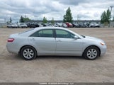 Toyota Camry Le V6/Se V6/Xle V6 4T1BK46KX7U505545 photo