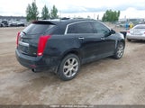 Cadillac Srx Luxury Collection 3GYFNEE33GS506267 снимка