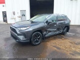 Toyota Rav4 Le 2T3B1RFV7PC347653 fotografie