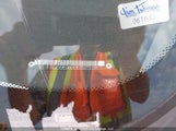 Chevrolet Aveo KL1TG696X6B652518 снимка