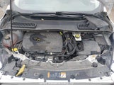 Ford Escape Se 1FMCU0GD7HUD61719 снимка