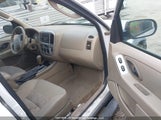 Ford Escape Xlt 1FMYU93115KE01919 снимка
