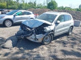 Volkswagen Tiguan S/Se/Sel WVGJV3AX0DW616072 fotografie