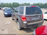 Ford Escape Xlt 1FMCU9DGXAKC40221 снимка