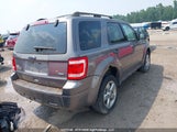 Ford Escape Xlt 1FMCU9DGXAKC40221 снимка