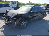 Ford Escape Sel 1FMCU0KZ0NUB04397 снимка
