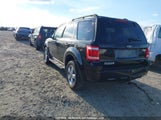 Ford Escape Xlt 1FMCU93198KA49008 снимка