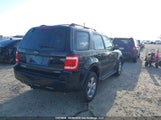 Ford Escape Xlt 1FMCU93198KA49008 снимка