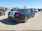 Ford Mustang V6 Premium 1ZVBP8AM7C5252059 снимка