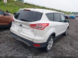 Ford Escape Se 1FMCU0GX0EUC54761 снимка