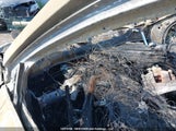 Chevrolet Equinox Lt 2GNAXUEV9M6110979 снимка