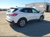 Ford Escape Se 1FMCU9G6XNUB82401 снимка