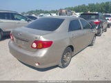 Toyota Corolla Ce 2T1BU4EE0AC350499 снимка