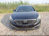 Hyundai Sonata Gls/Limited/Sport/Sport Tech 5NPE34AF7FH163389 fotografie