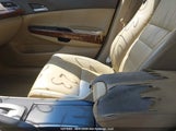Honda Accord Exl 1HGCP26808A809751 снимка
