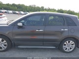 Acura Rdx 5J8TB1H55AA800156 снимка