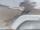 Toyota Rav4 Le 2T3B1RFV2MC253272 снимка