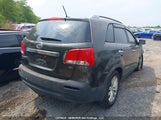 Chevrolet Equinox 2CNFLNEW6A6288333 снимка