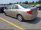 Toyota Corolla S/Le/Xle 2T1BU40E49C115641 снимка