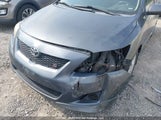 Toyota Corolla S/Le/Xle 2T1BU4EEXAC196139 снимка