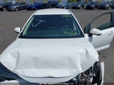 Toyota Corolla Le 5YFBPRBE8LP007726 fotografie