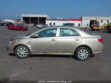 Toyota Corolla S/Le/Xle 2T1BU4EE2AC243566 снимка