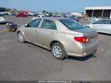 Toyota Corolla S/Le/Xle 2T1BU4EE2AC243566 снимка