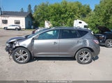 Nissan Murano S/Sl/Le JN8AZ18W19W150576 fotografie