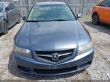 Acura Tsx JH4CL95845C800697 снимка
