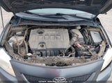 Toyota Corolla Le 2T1BU4EE6AC357490 снимка