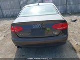 Audi A4 2.0T 30 Years Of Quattro Edition/2.0T Premium WAUHFCFL7BN052619 fotografie