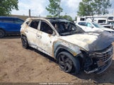 Hyundai Tucson Luxury KM8JCCA19PU117384 снимка
