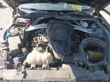 Ford Mustang Bullitt 1FA6P8K03L5581900 снимка