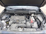 Toyota Rav4 Xle 2T3R1RFV8NW319760 photo
