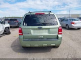 Ford Escape Xlt 1FMCU93138KC96833 fotografie