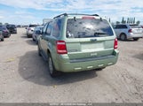Ford Escape Xlt 1FMCU93138KC96833 снимка